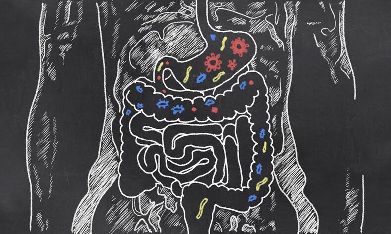 Parazity v gastrointestinálním traktu člověka