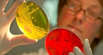 diagnostika parazitů v těle